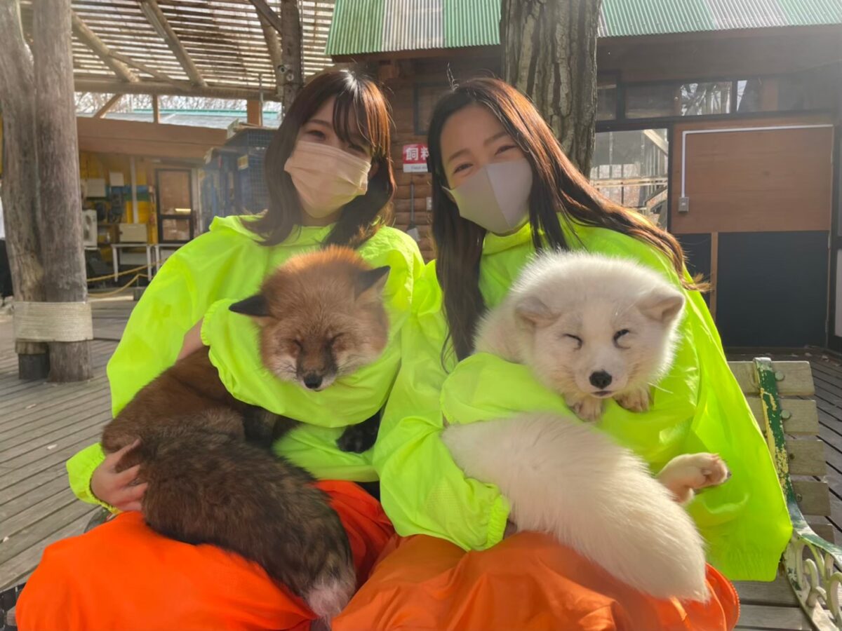 At fox village