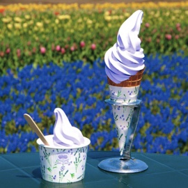 Lavender ice cream