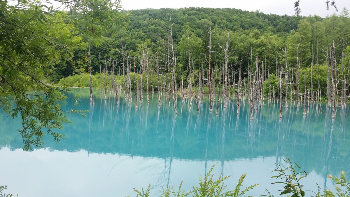 Hokkaido blue pond