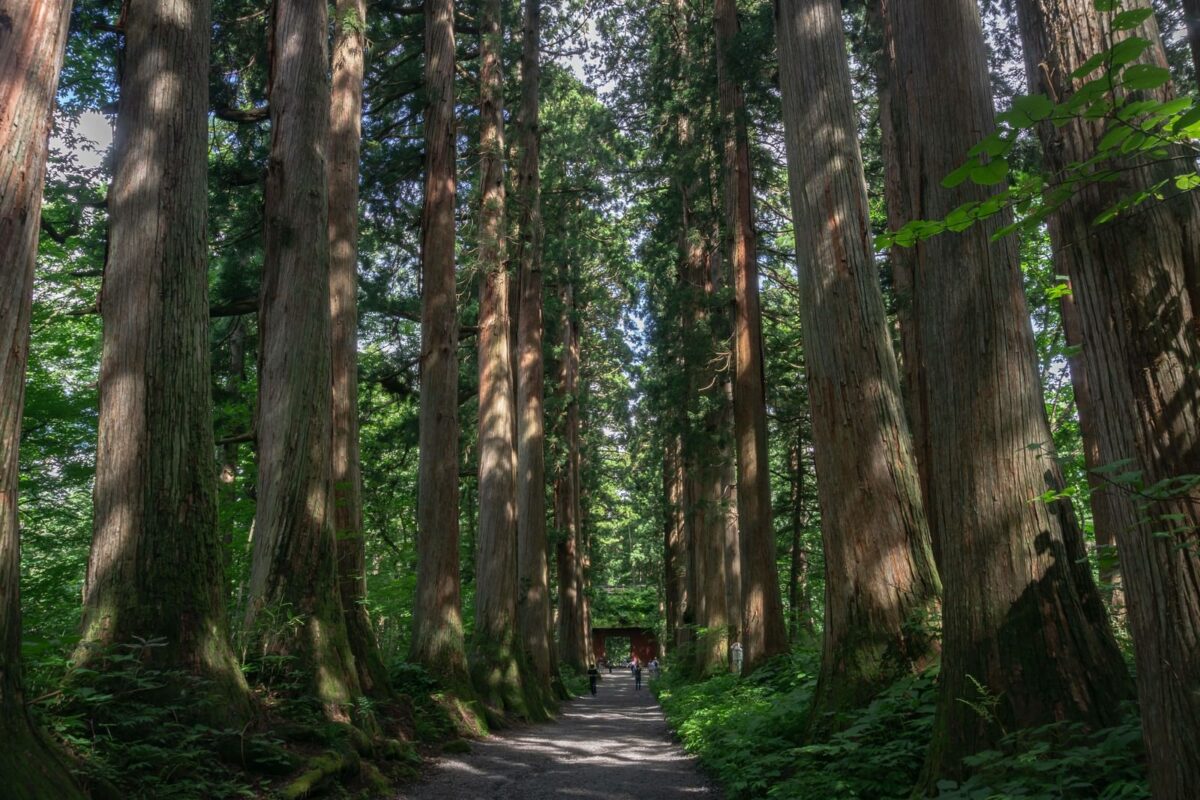 Togakyshi shrine