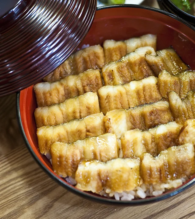 Eel with rice