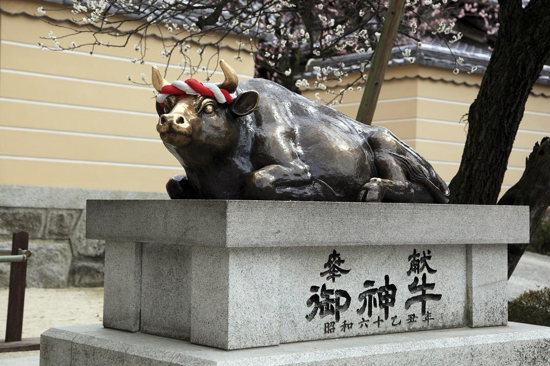 Dazaifu cow